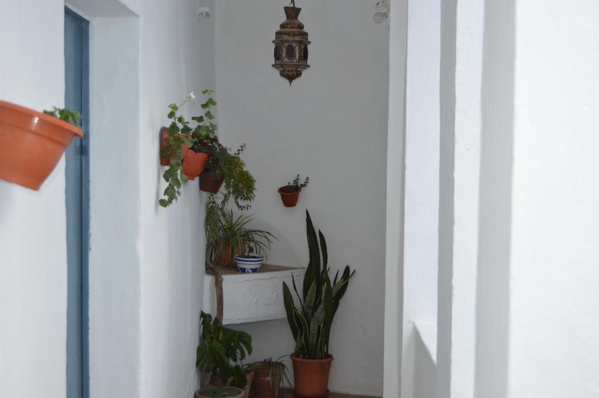 베예데라프론테라 Nuestra Casa En Vejer 아파트 외부 사진